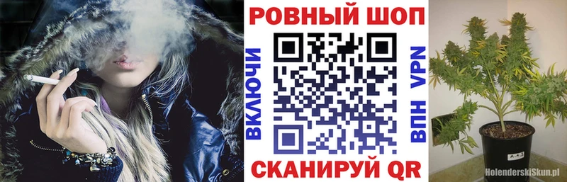 Где продают наркотики Лесной Псилоцибиновые грибы  Alpha-PVP  Меф мяу мяу  Амфетамин  Канабис  Гашиш 