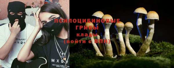 гашик Балахна