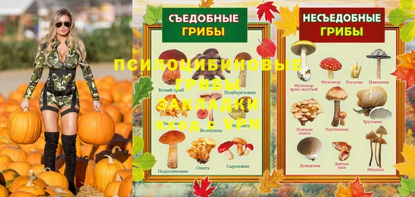 гашик Балахна