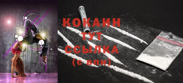 гашик Балахна