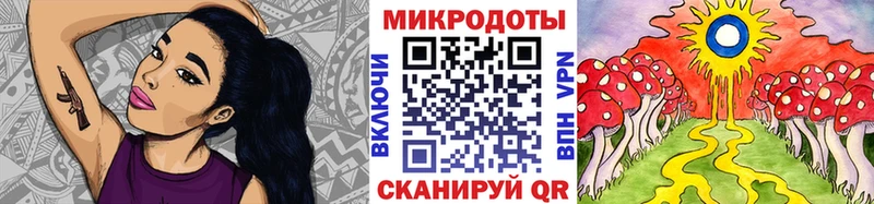 Галлюциногенные грибы Psilocybe Лесной