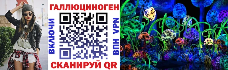 Галлюциногенные грибы Psilocybine cubensis  Лесной 